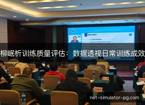 柳岷析训练质量评估：数据透视日常训练成效